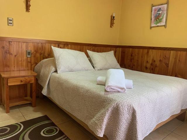 Hostal & Cabanas Don Juan Villarrica Exterior photo